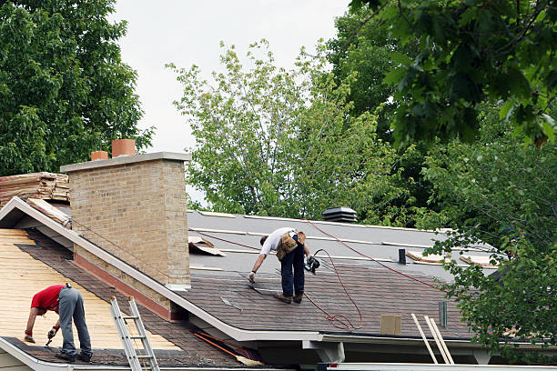 Best Roof Gutter Cleaning  in Fletcher, NC